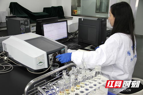 常德水文中心推出灌区水质监测服务，水资源管理网络技术再添新翼